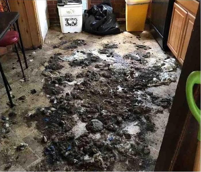 Pile of burnt debris and animal feces on tile floor