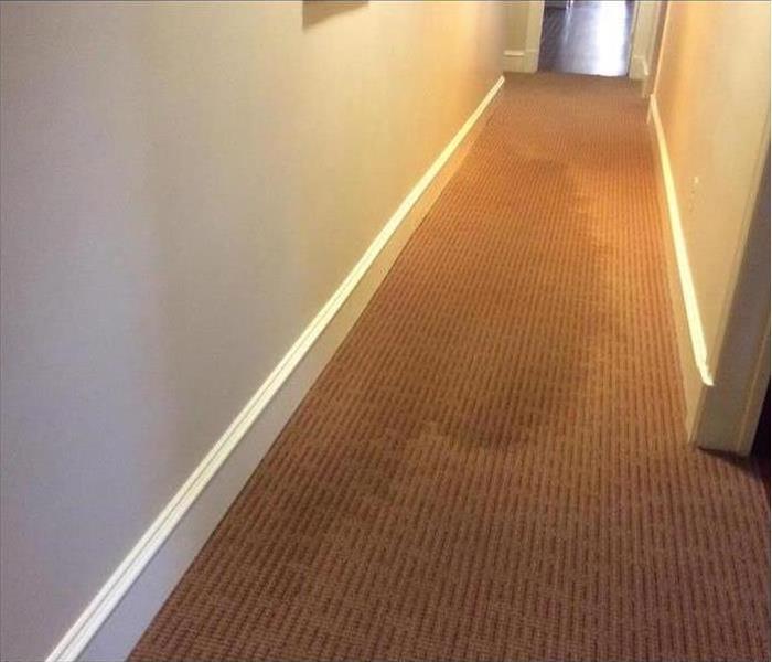 Carpet soaked with water