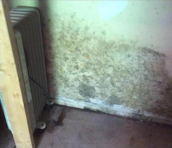 Mold on wall caused by water heater leak