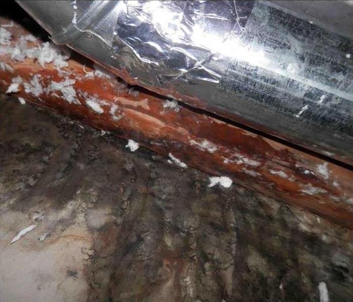 Attic with water damage