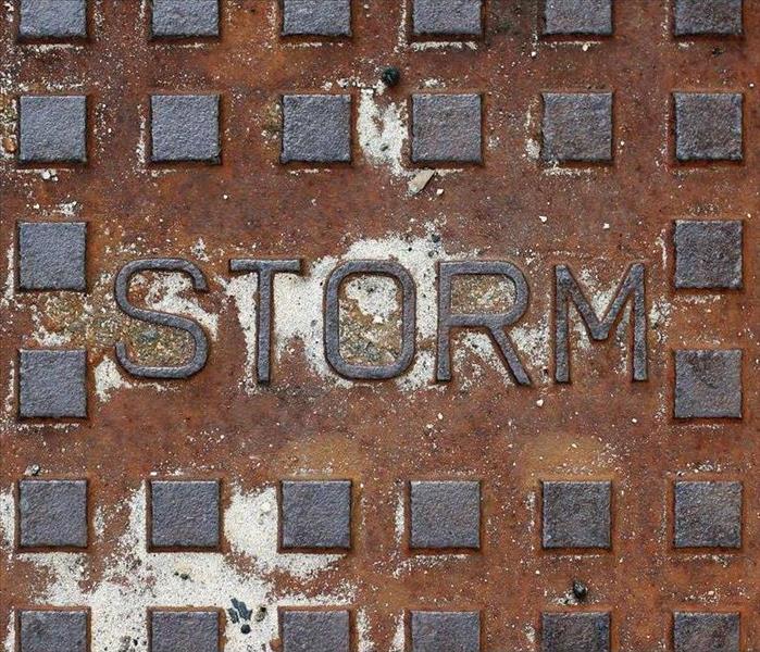 Storm drain with the word "Storm" on it
